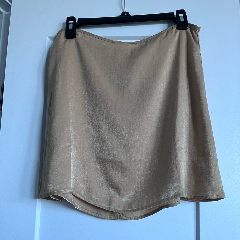 Shiny Skirt